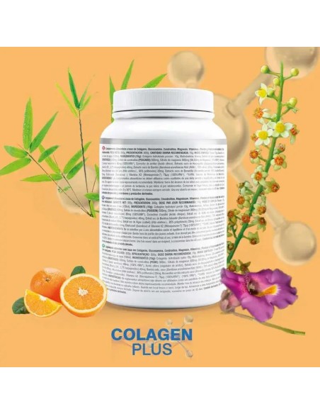 Prisma Natural Porcino Colagen Plus Flexiplus, 300 gr