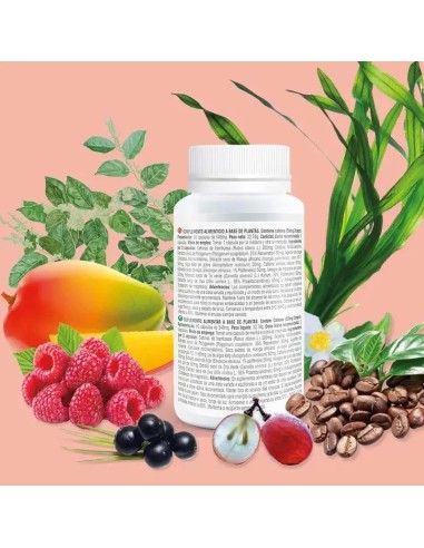 Prisma Natural Raspberry Ketone, 60 Cápsulas