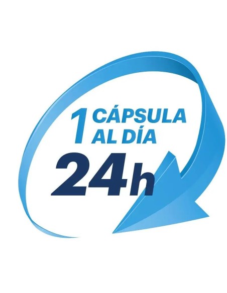 Rino Ebastel 10 mg/120 mg 7 Cápsulas