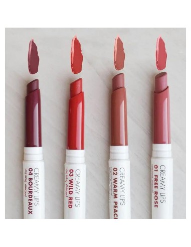 Beter Look Expert Lipstick 01 Free Rose