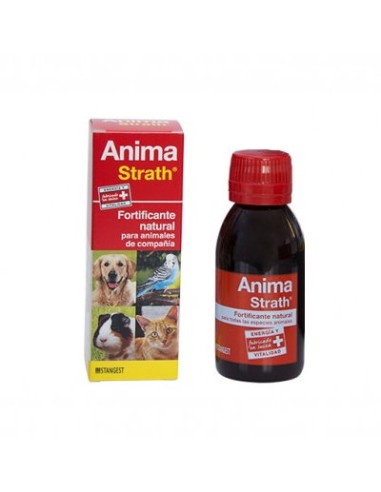 ANIMA STRATH 100 ML STANGEST