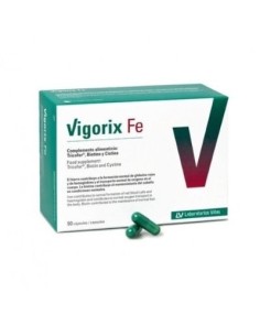 VIGORIX FE 90 CAPSULAS