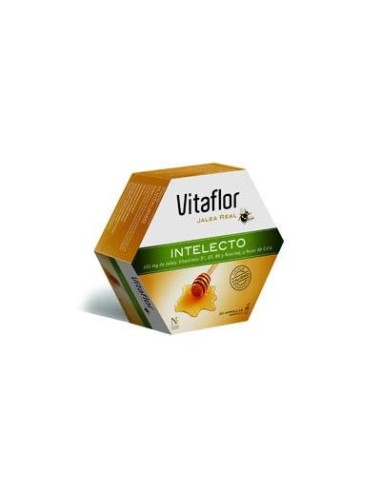 VITAFLOR INTELECTO 20 AMPOLLAS