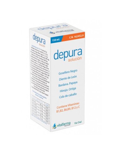 DEPURA SOLUCION 150 ML VITALFARMA